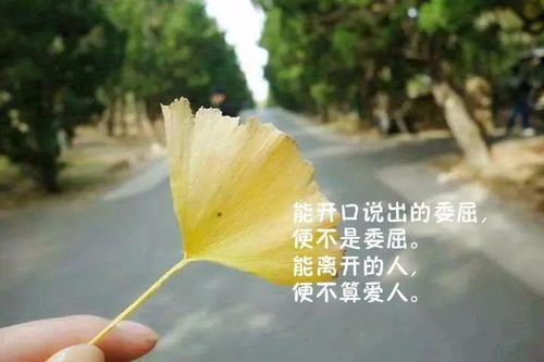 感悟生活的心请短语：眼泪虽然可以忍住,但悲伤不行(没忍住掉眼泪的说说)