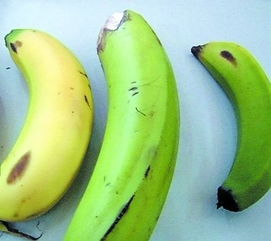 催熟香蕉，香蕉催熟方法22种
