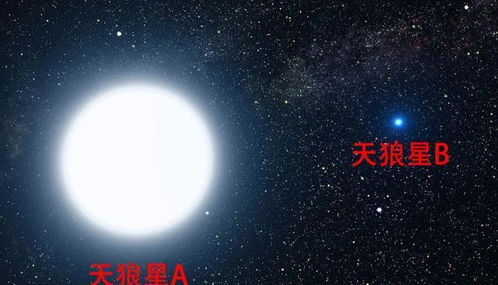 为什么天狼星在很多文化中代表犬类