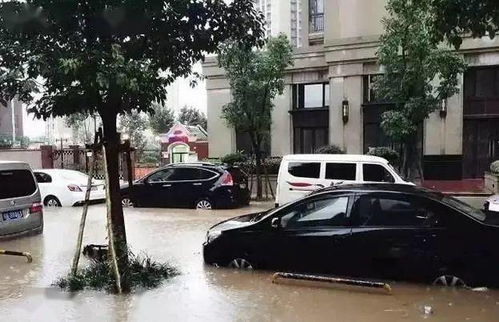 暴雨天汽车被淹了怎么办,找谁赔钱