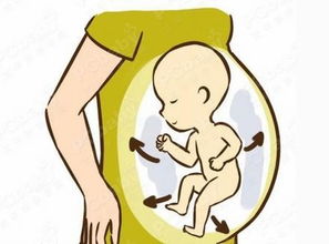 胎动性别，从胎动可以看出宝宝性别吗