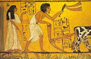 古埃及的介绍 