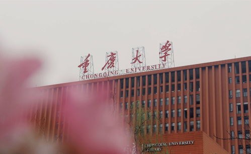 重庆好一点的大学有哪些