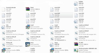 我的电脑D盘里有好多奇怪的文件,像install.res.1040 install eula.2052, 是什么东西啊,能删掉吗 有图 