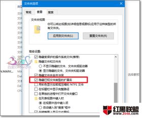 win10隐藏文件后缀名怎么显示