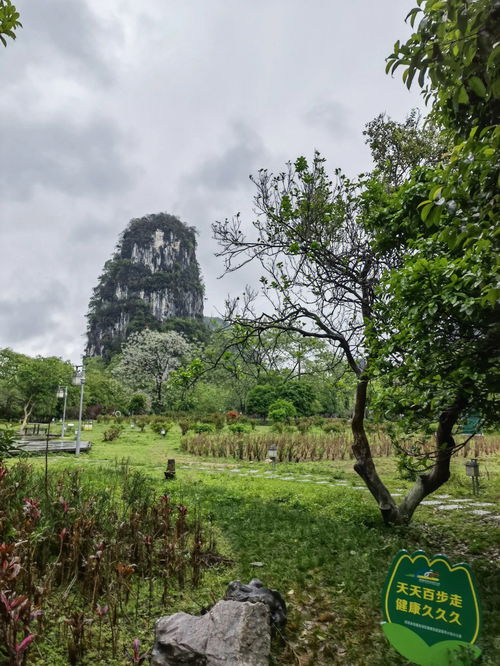 阳朔人最爱的免费景区还有谁不知道 