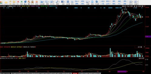 两只股票走势为什么会一样，后来又走出完全不一样的形态