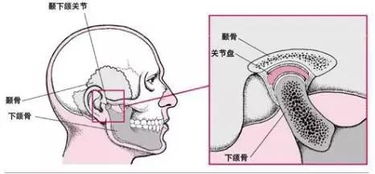 T M D 我的嘴巴张不开了 知乎 