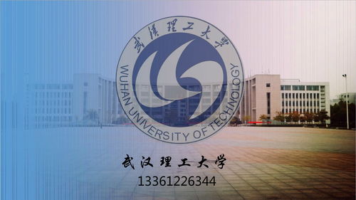 武汉理工大学本科的专业有哪些