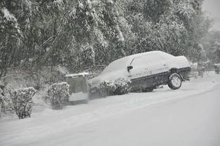 掌握几个下雪天行车的技巧,把危险降到最低