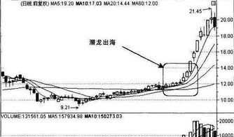 关于潜龙出海的诗句