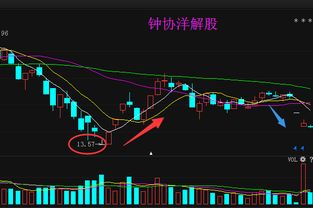 000876新希望现在能否介入？后市走势怎么样？