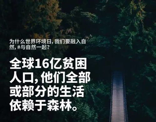 绿水青山就是金山银山,让我们像对待生命一样对待我们现在拥有的美好 