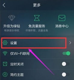 苹果5肿么把qq音乐里的歌词显示在屏幕上