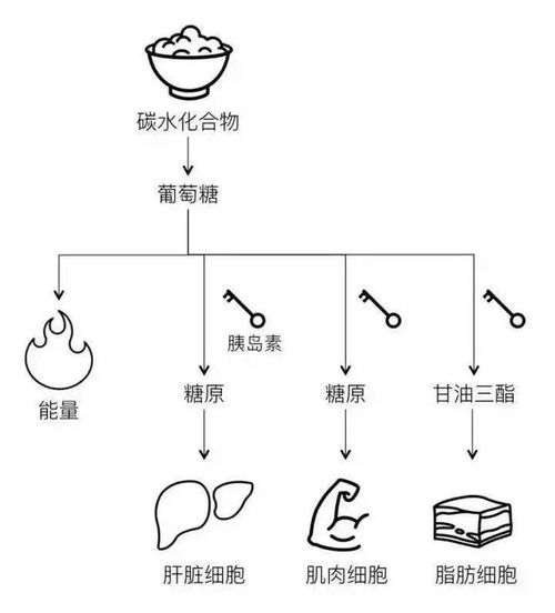 饭圈冷知识什么意思(冷知识 什么意思)