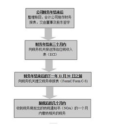 公司税务怎么申报