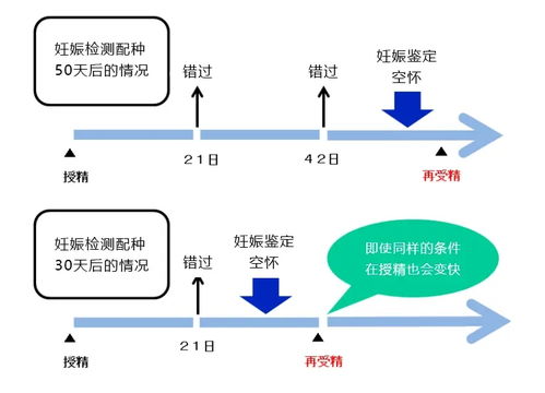 牛用B超机测孕好处