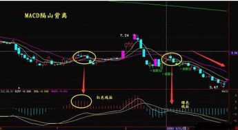 MACD红绿柱看什么图