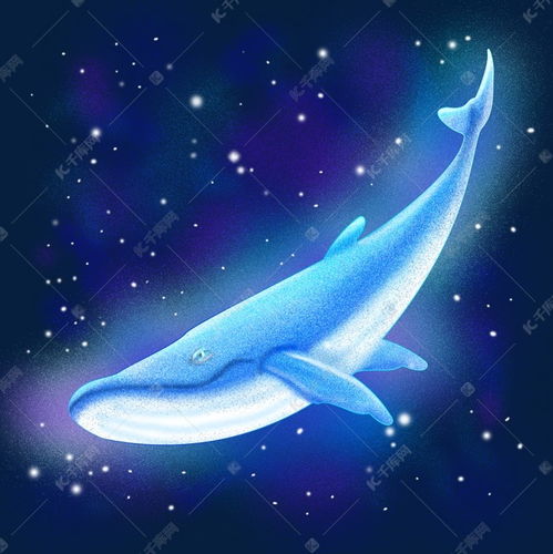 梦幻鲸鱼海洋生物手绘插画psd素材图片免费下载 千库网 