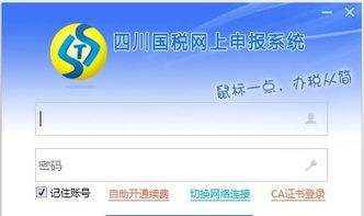 如何在四川省国家税务局网上申报系统中删除报表