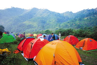 合肥适合露营的地方有哪些(环湖北路免费停车场有哪些)