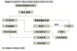 糖类抗原724 17.6正常吗 