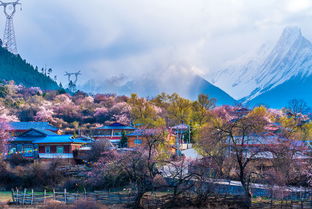 三月适合去哪里旅游 三月份去哪旅游最好