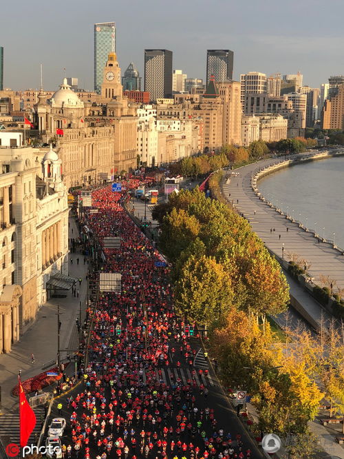 2019上海马拉松近4万跑友奔跑 助威团西洋乐广场舞美妙结合 