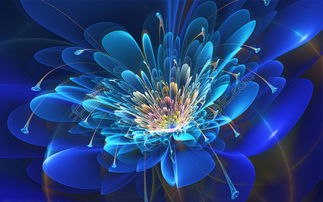 特效蓝色花朵怎么弄好看(蓝色线条特效)(蓝色花朵边框)