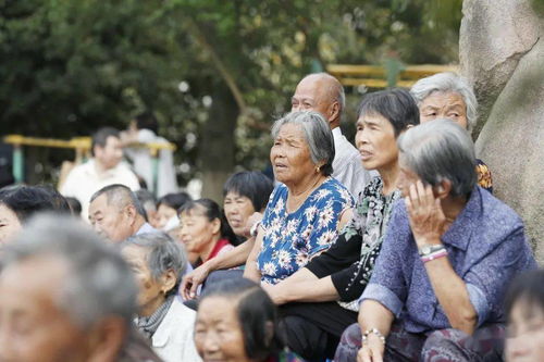 走,看戏听曲去