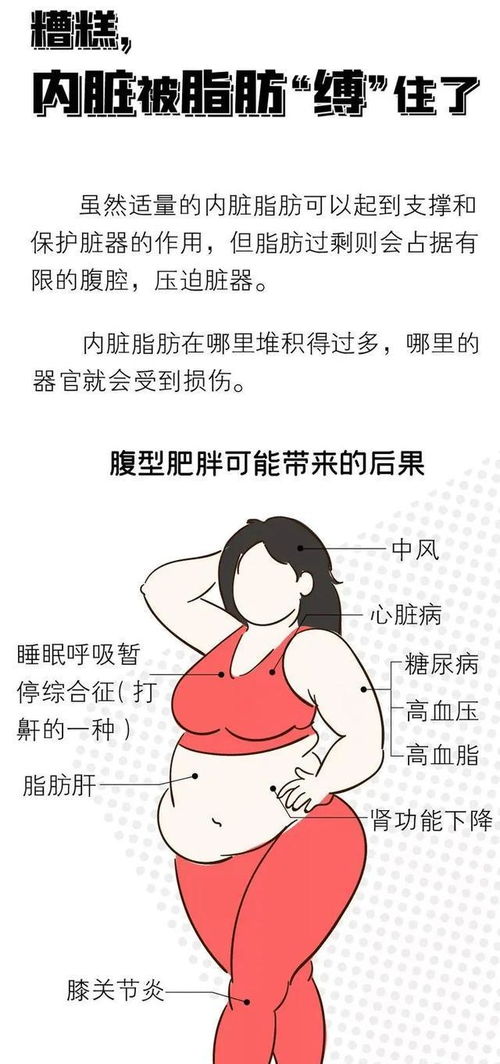 你知道哪个省份的女生容易发胖吗 为何女生一胖就在肚子上长肉