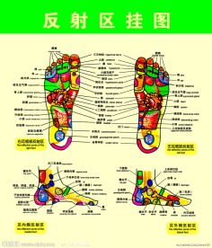 足疗反射区图片大全 搜狗图片搜索