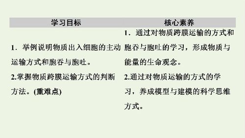 2019 2020年新教材高中生物第4章第2节主动运输与胞吞 胞吐课件新人教版必修1 