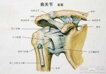 肩周炎必须及时治疗