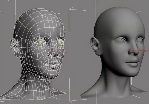 初学者3d建模要什么软件(3d建模培训学校哪家好)