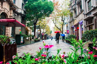 你的烟雨情,我的江南梦 杭州西湖 南宋皇城小镇 九溪 西溪之旅