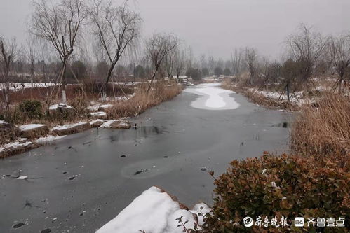 济南又下雪了,雪后的华山白茫茫一片