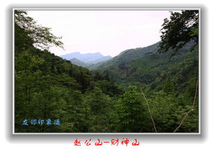 50.赵公山 通往财神庙专辑 友邻印象 