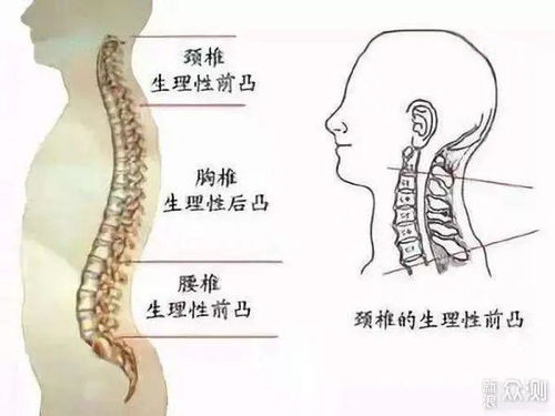 攻略干货 好睡眠从枕头开始,舒服枕头这样选