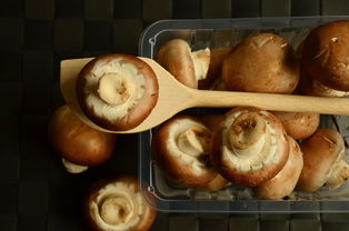 白蘑菇怎么做才好吃又简单？三招让你轻松上手！