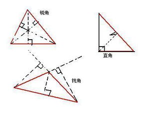 观察各三角形能画出几条高,从中你发现了什么 