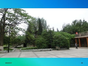 沈阳中山公园(沈阳中山公园坐几路公交车到) 