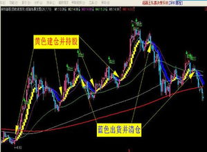 炒股软件真的那么好用吗?