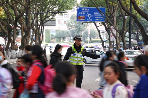 我是接班人安全出行从我做起(小学生交通安全征文！！！)