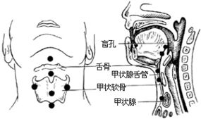 第三军医大学第二附属医院-新桥医院