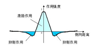 收敛三角形的特征条件