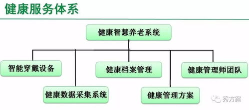 智慧养老 居家养老综合平台整体解决方案 ppt