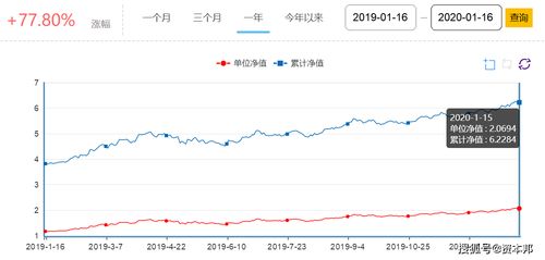 富国基金持有哪些上市公司股份