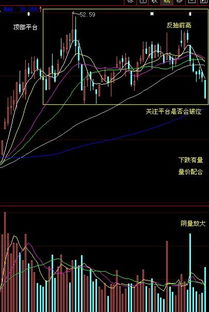 兰花科创股票属于什么板块