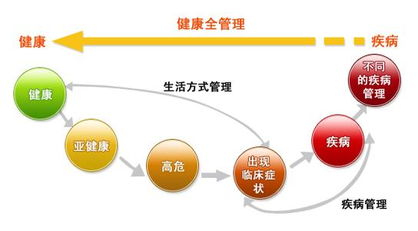 一次性电子烟，使用期限与潜在健康风险解析 - 4 - AH香烟货源网